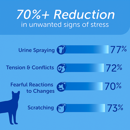 Help Your Cat Feel Safe, Loved, and Relaxed – For Years to Come