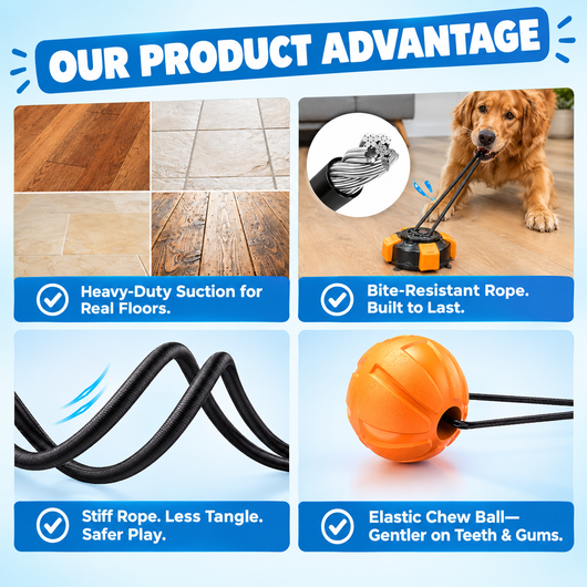 Suction Cup Dog Tug Toy