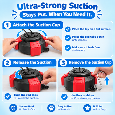 Suction Cup Dog Tug Toy