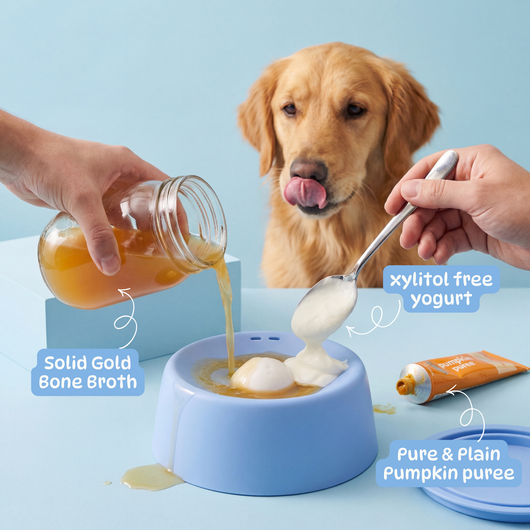 Paw Calm Pup Bowl