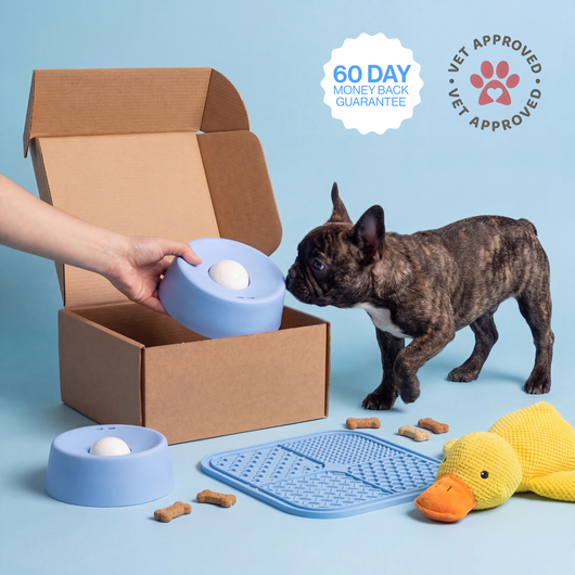 Paw Calm Pup Bowl