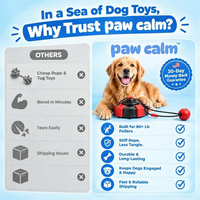 Suction Cup Dog Tug Toy