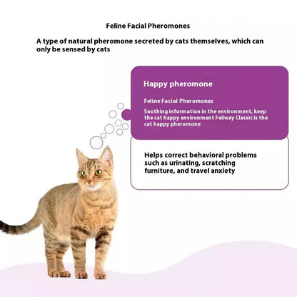 Help Your Cat Feel Safe, Loved, and Relaxed – For Years to Come