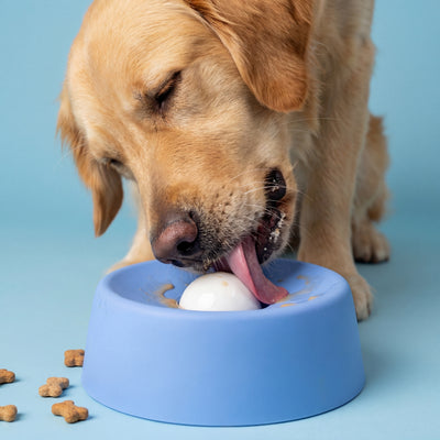 Paw Calm Pup Bowl