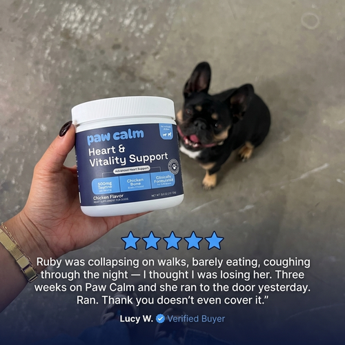 Paw Calm Taurine Heart and Vitality Support - 500mg