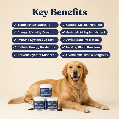 Paw Calm Taurine Heart and Vitality Support - 500mg
